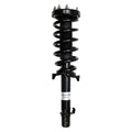 Suspension Strut and Coil Spring Assembly LS33-81161R