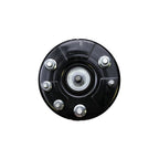 Suspension Strut and Coil Spring Assembly LS33-81161R