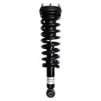 Suspension Strut and Coil Spring Assembly LS33-81181B