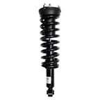 Suspension Strut and Coil Spring Assembly LS33-81181B