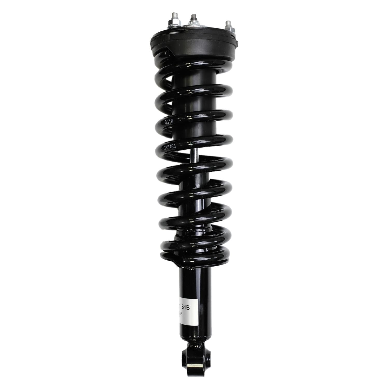 Suspension Strut and Coil Spring Assembly LS33-81181B
