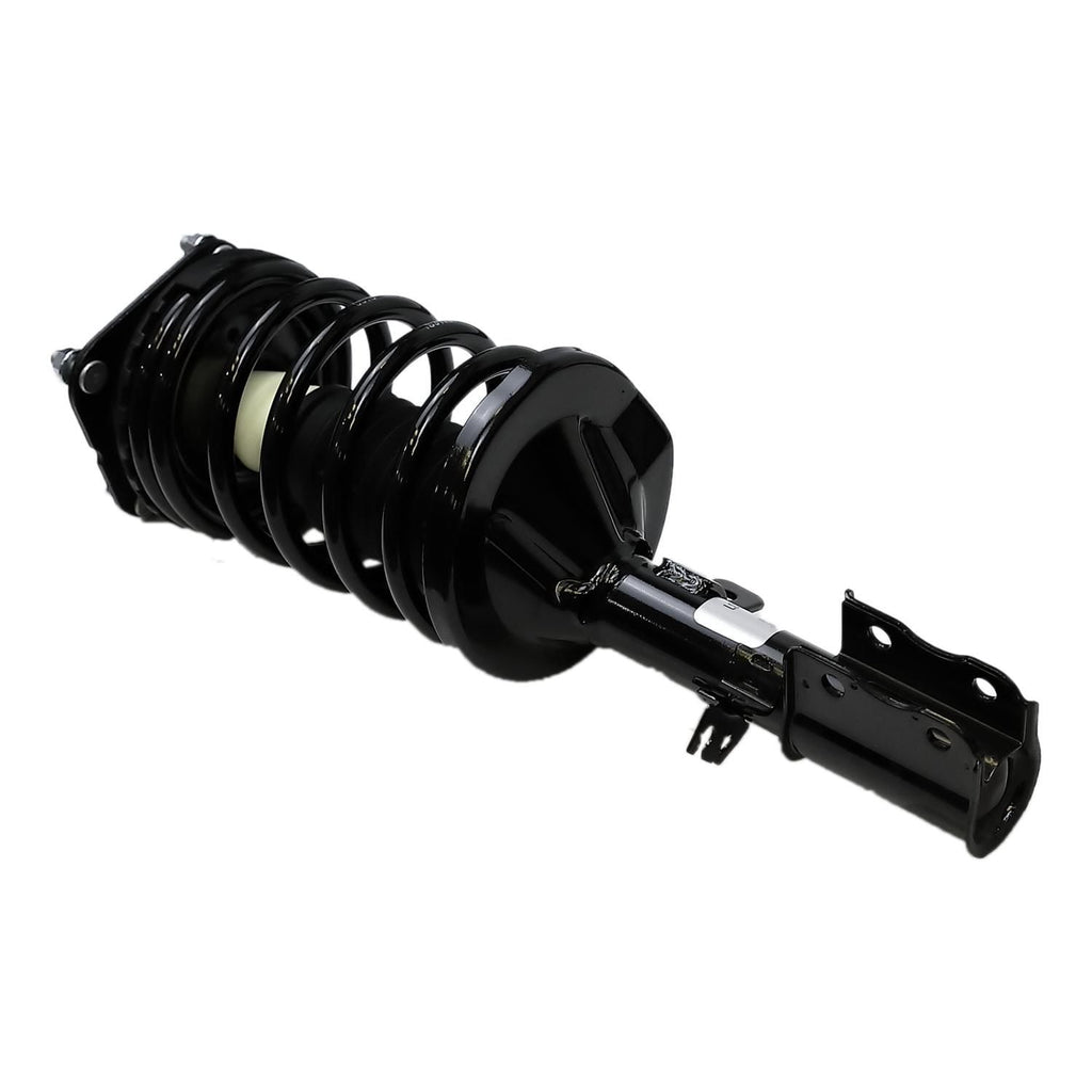 Suspension Strut and Coil Spring Assembly LS33-81211R