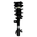 Suspension Strut and Coil Spring Assembly LS33-81251L