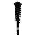 Suspension Strut and Coil Spring Assembly LS33-81261R