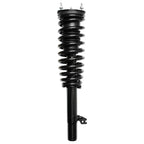 Suspension Strut and Coil Spring Assembly LS33-81291L