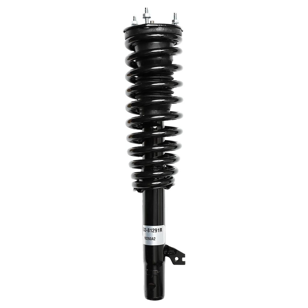 Suspension Strut and Coil Spring Assembly LS33-81291R