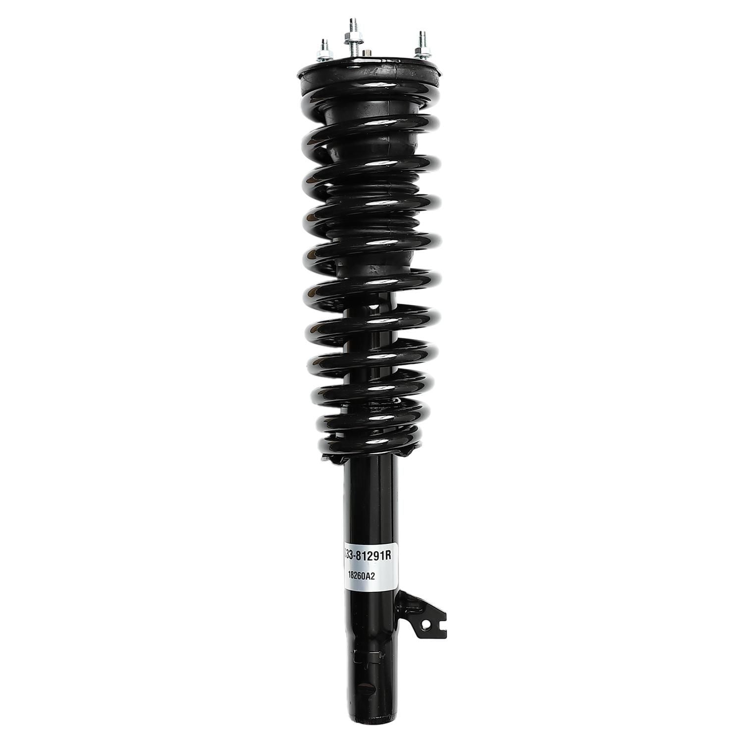 Suspension Strut and Coil Spring Assembly LS33-81291R