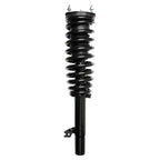 Suspension Strut and Coil Spring Assembly LS33-81291R