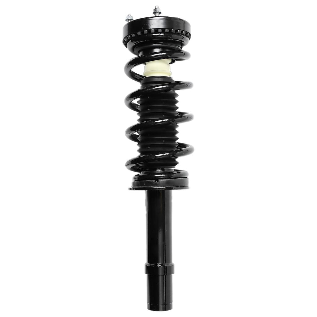 Loaded Strut LS33-81321L