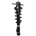 Loaded Strut LS33-81341L