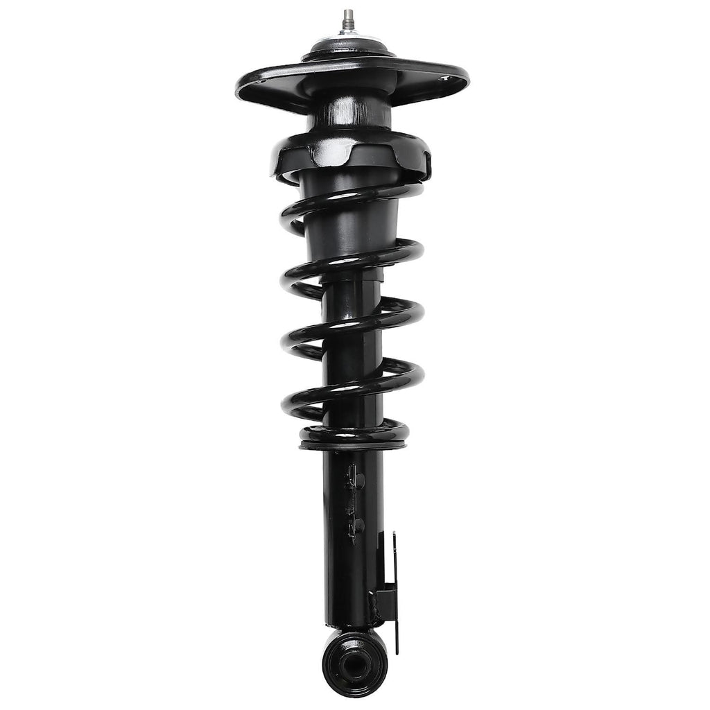 Loaded Strut LS33-81341L
