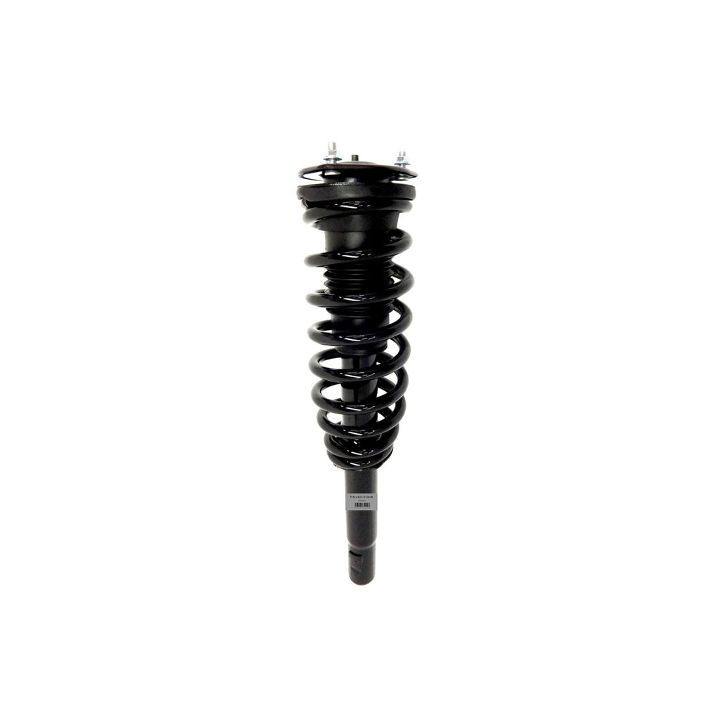 Suspension Strut and Coil Spring Assembly LS33-81361B