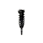 Suspension Strut and Coil Spring Assembly LS33-81361B
