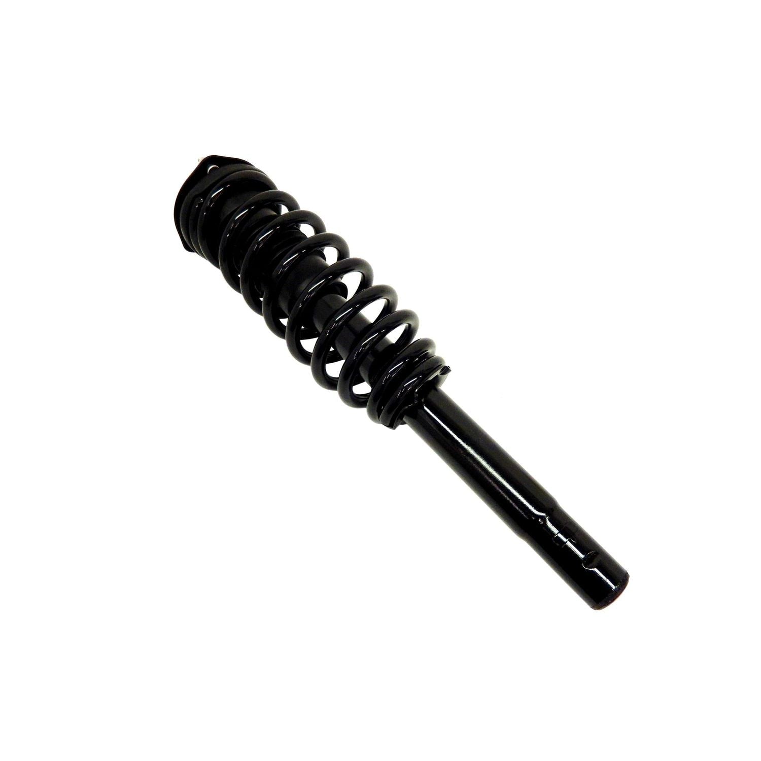 Suspension Strut and Coil Spring Assembly LS33-81361B
