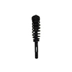 Suspension Strut and Coil Spring Assembly LS33-81361B