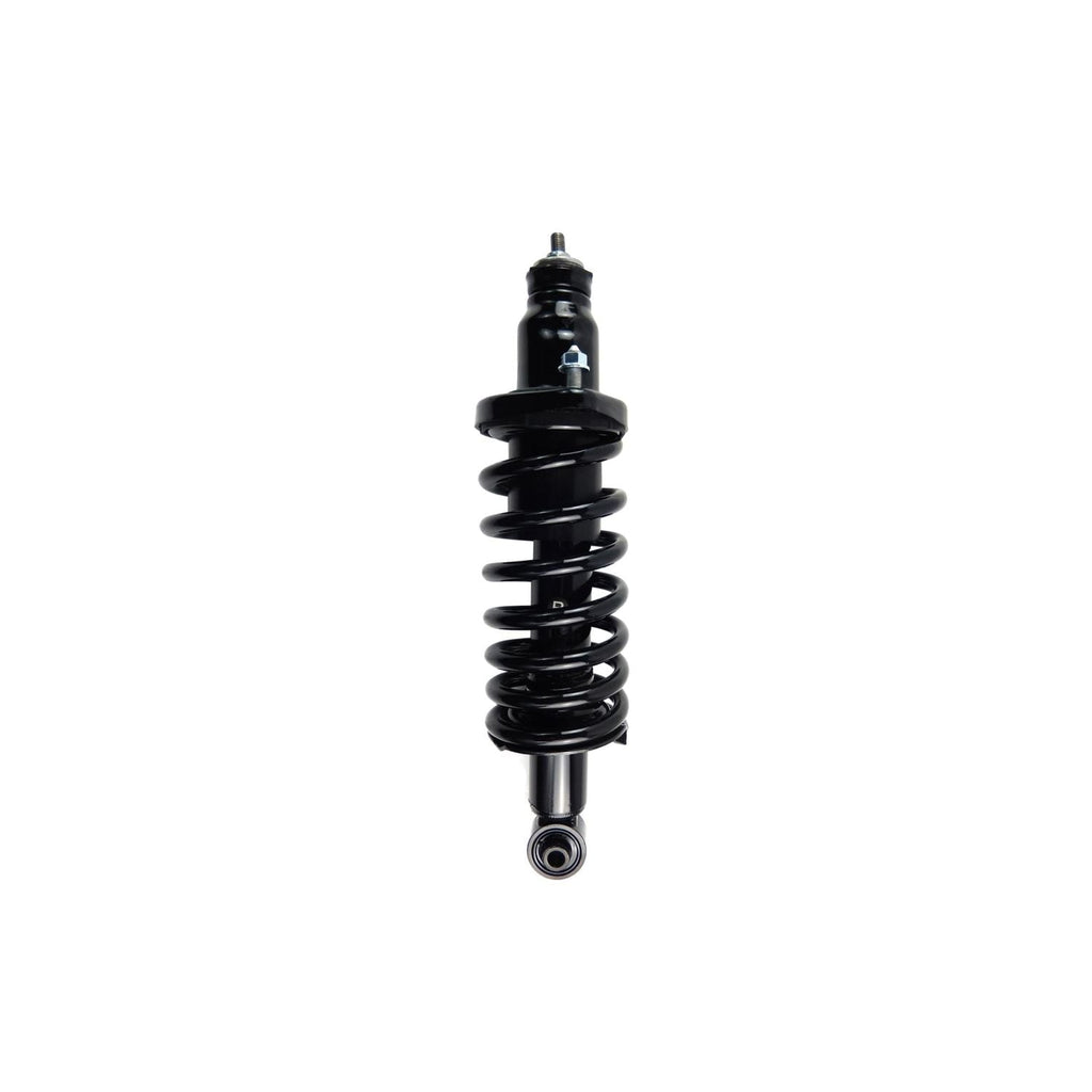 Loaded Strut LS33-81402R