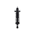 Loaded Strut LS33-81412B