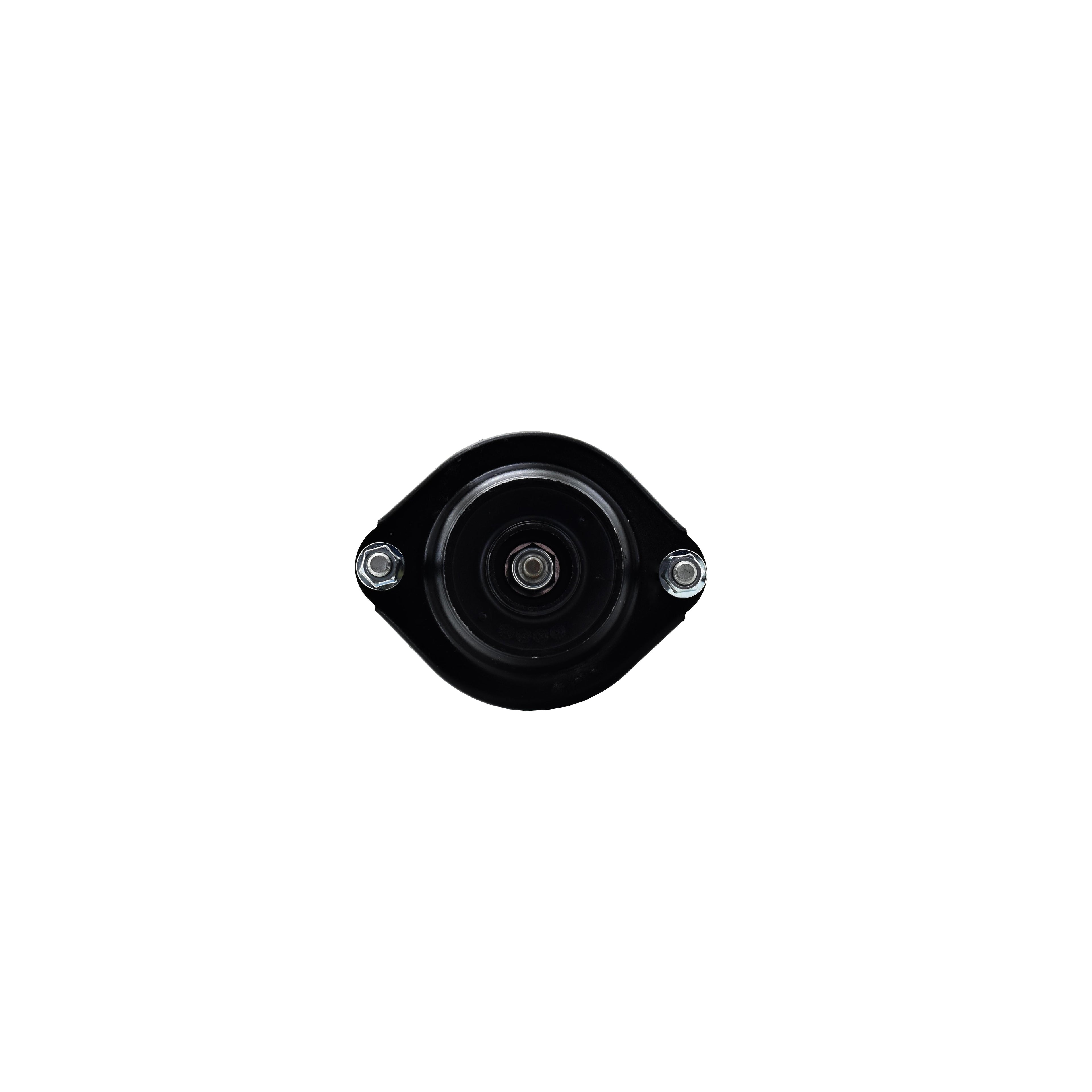 Suspension Strut and Coil Spring Assembly LS33-81431L