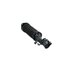 Suspension Strut and Coil Spring Assembly LS33-81431L