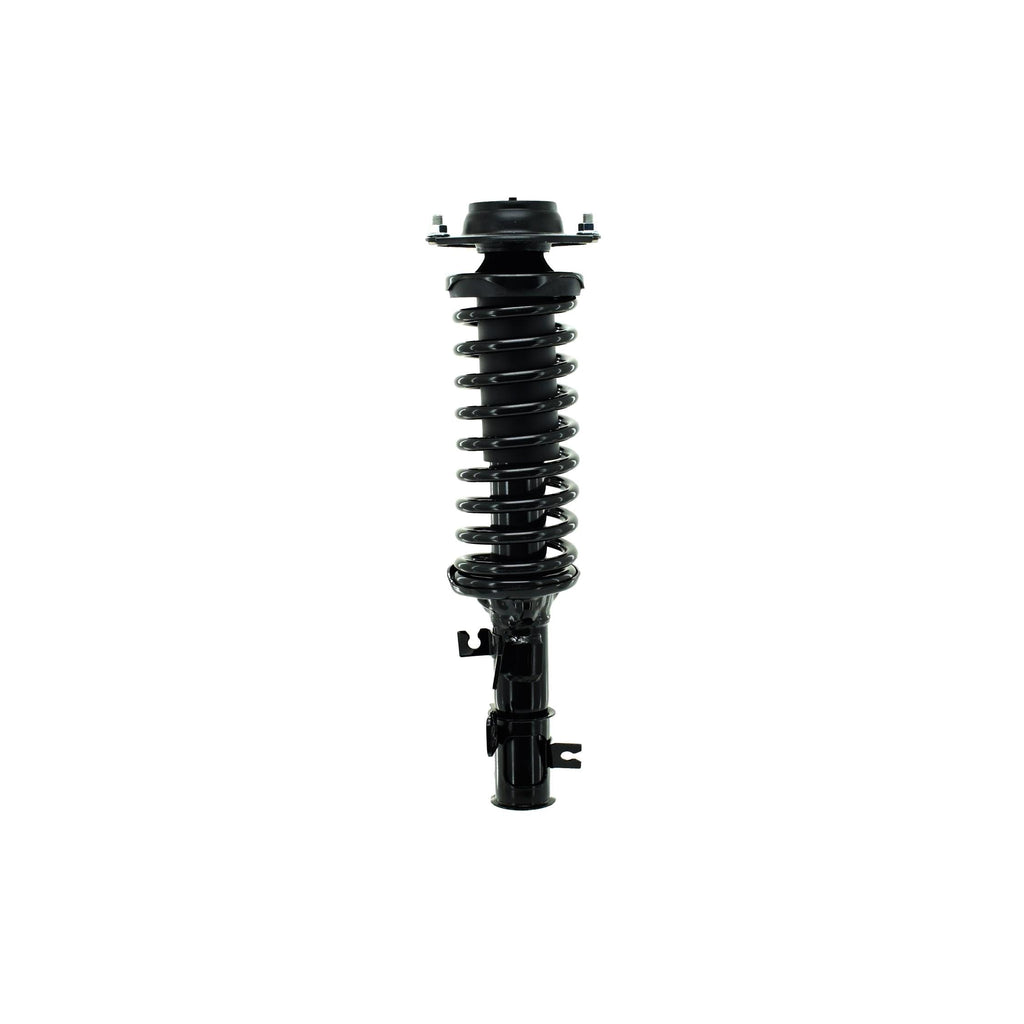 Suspension Strut and Coil Spring Assembly LS33-81431R