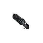 Suspension Strut and Coil Spring Assembly LS33-81431R