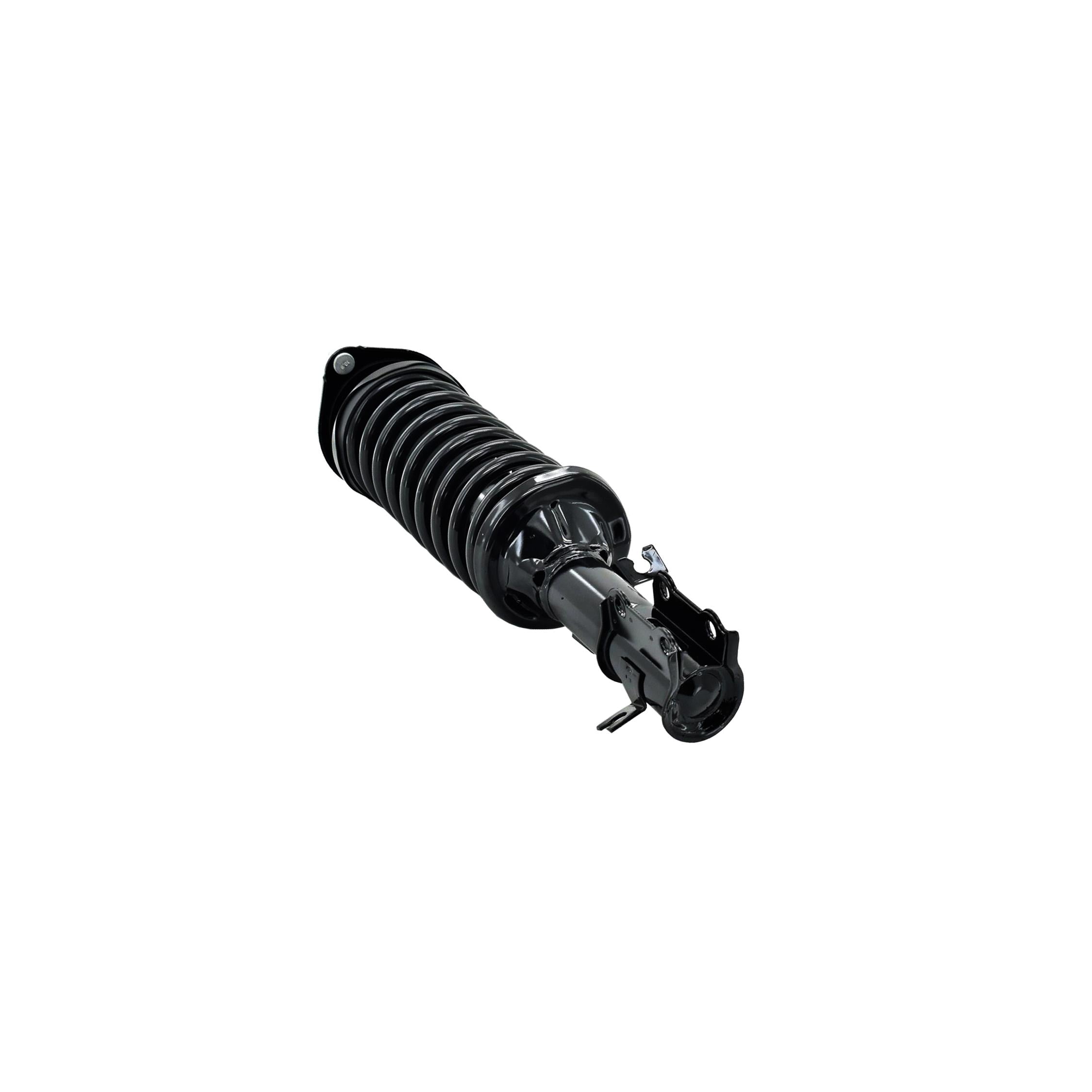 Suspension Strut and Coil Spring Assembly LS33-81431R