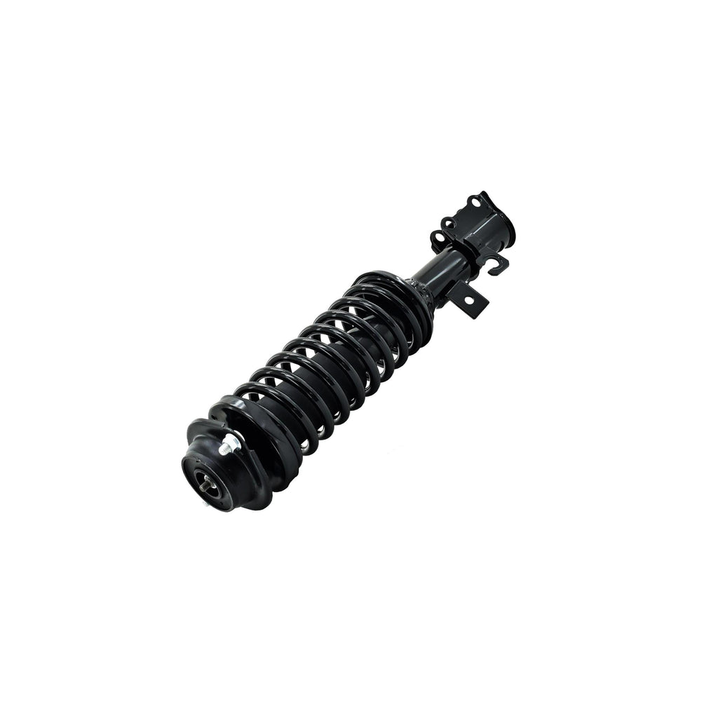 Suspension Strut and Coil Spring Assembly LS33-81431R