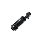 Suspension Strut and Coil Spring Assembly LS33-81431R