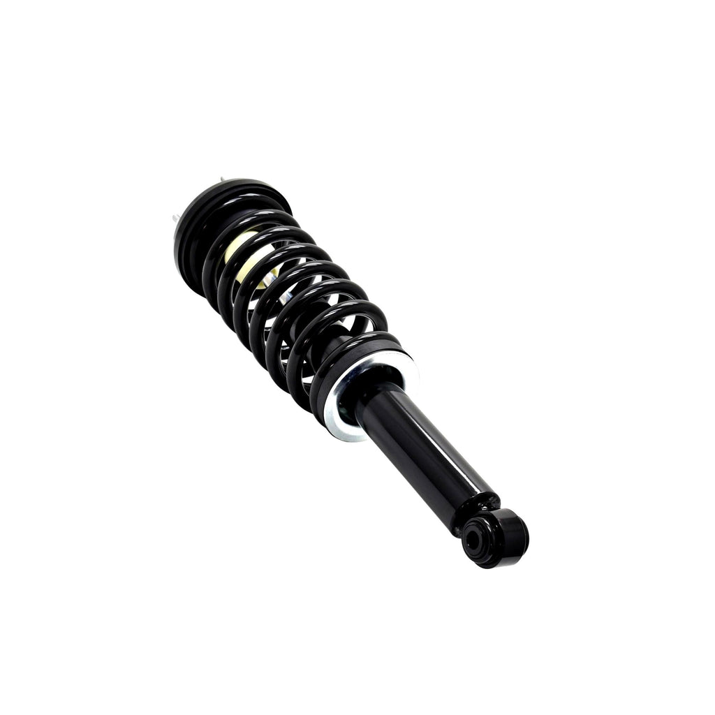 Loaded Strut LS33-81482L