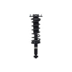 Suspension Strut and Coil Spring Assembly LS33-81522B
