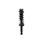 Suspension Strut and Coil Spring Assembly LS33-81522B