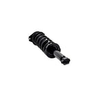 Suspension Strut and Coil Spring Assembly LS33-81522B
