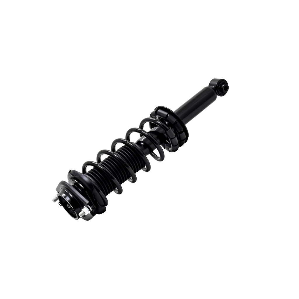 Suspension Strut and Coil Spring Assembly LS33-81522B