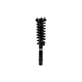 Loaded Strut LS33-81541L