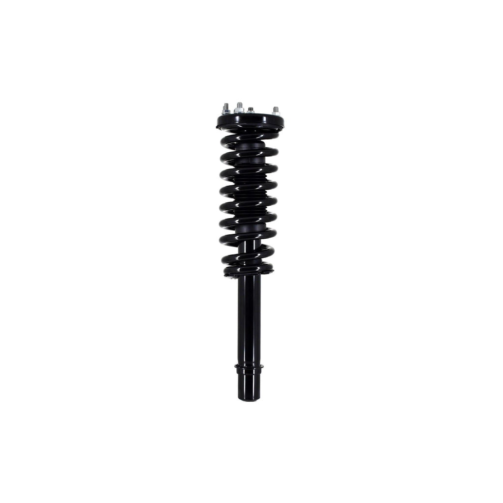 Loaded Strut LS33-81541L