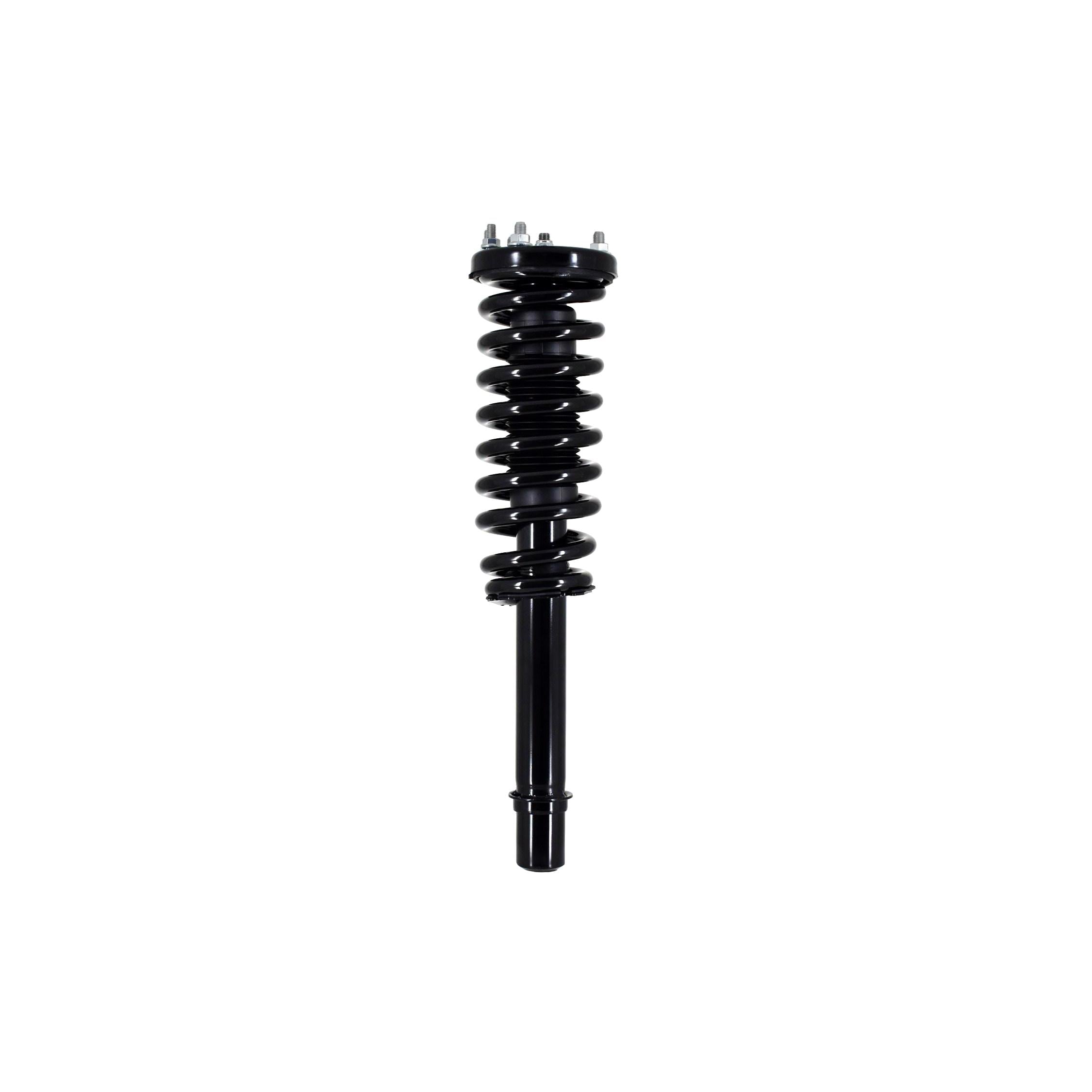 Loaded Strut LS33-81541L