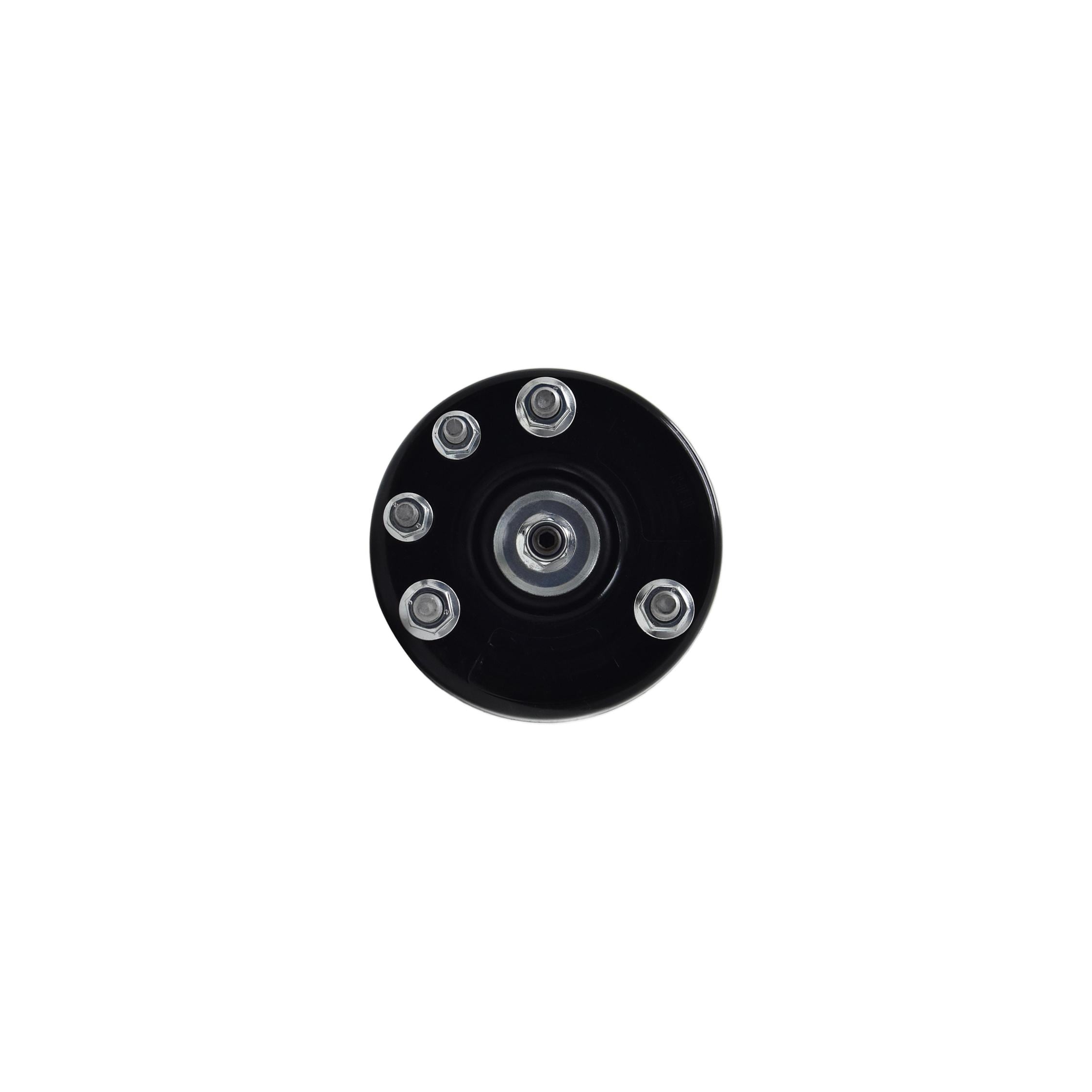 Loaded Strut LS33-81541L