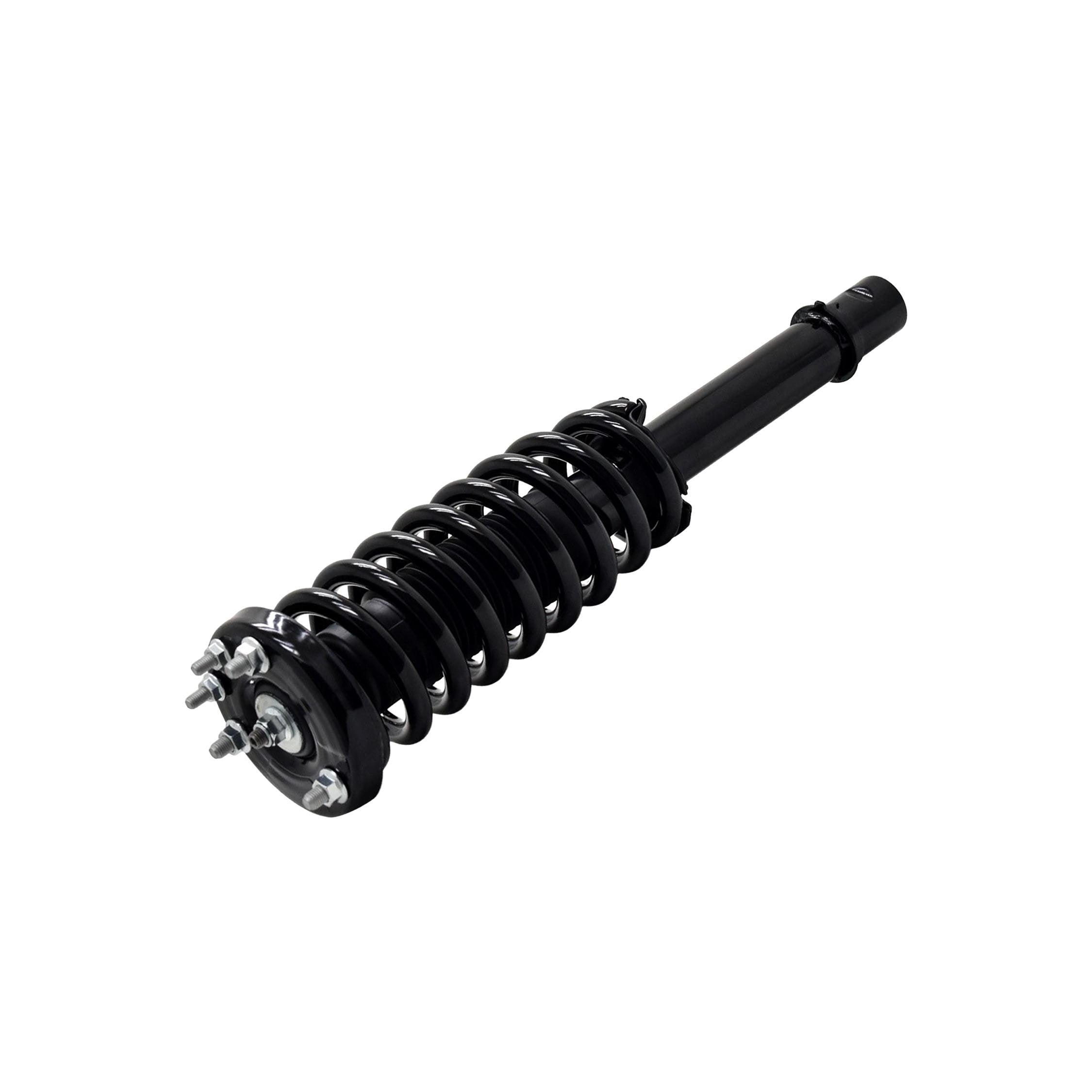 Loaded Strut LS33-81541L