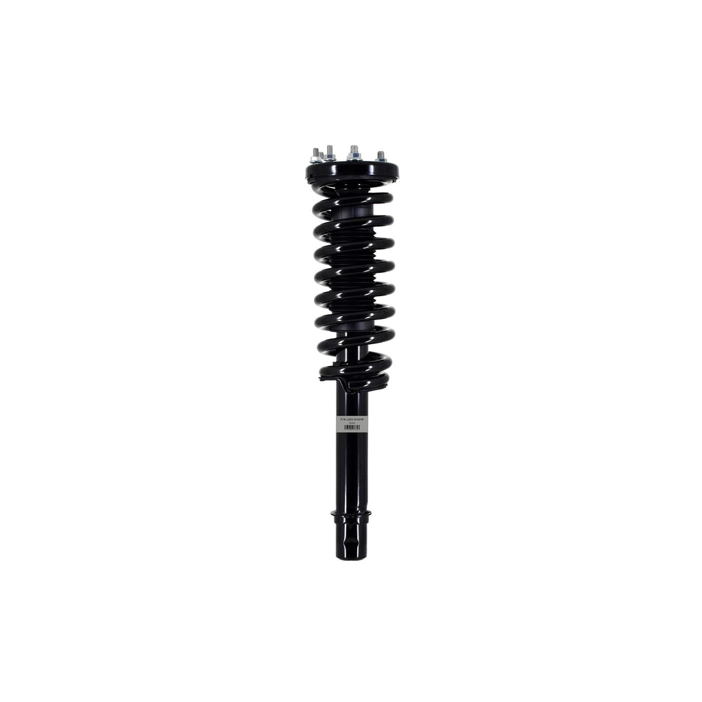 Loaded Strut LS33-81541R