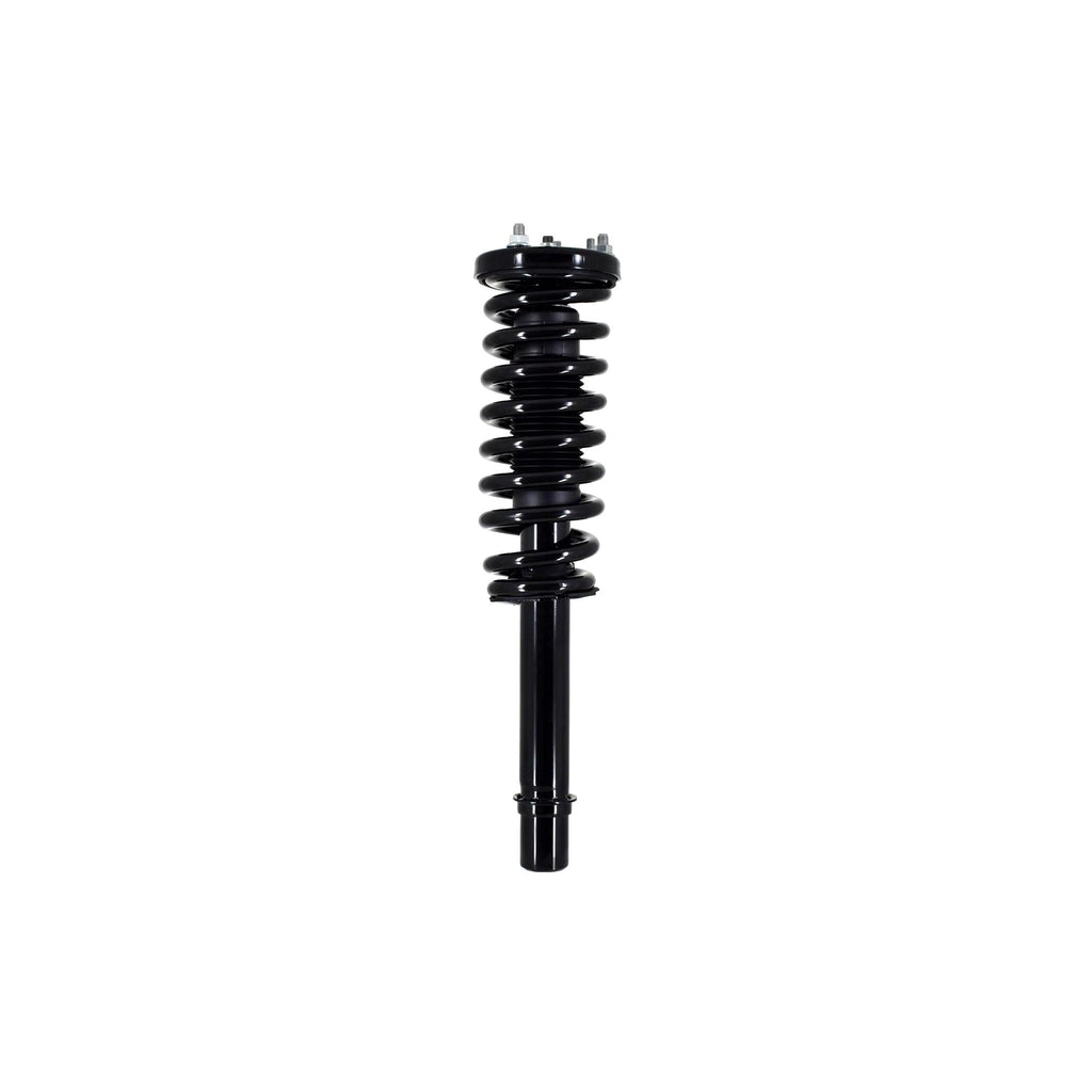 Loaded Strut LS33-81541R