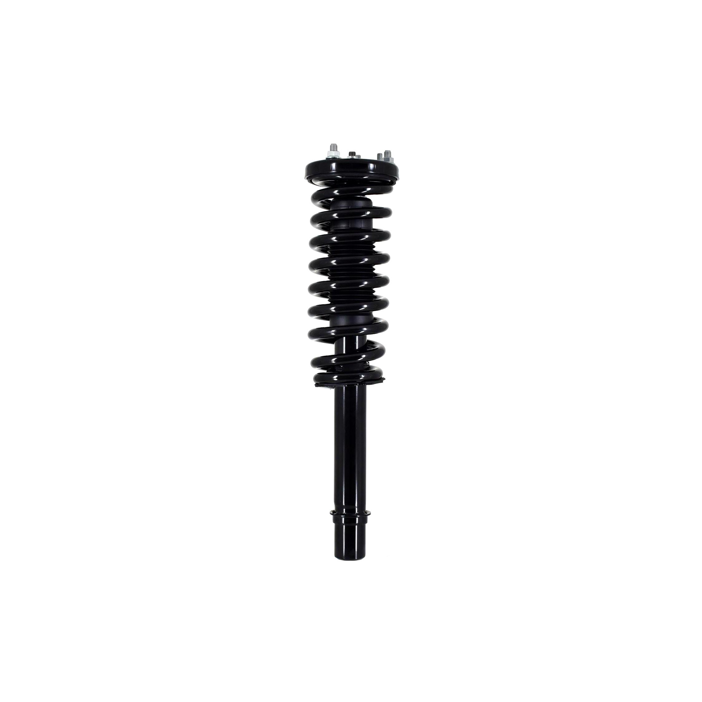 Loaded Strut LS33-81541R