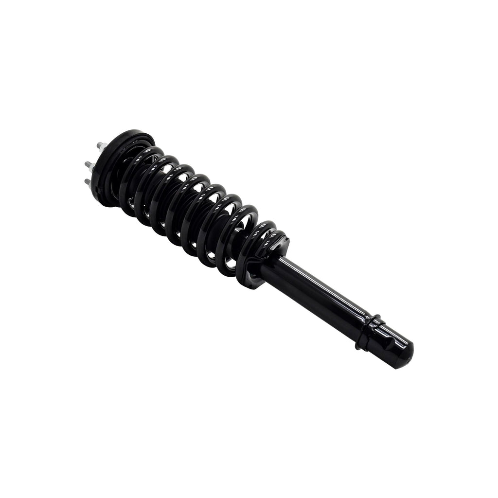 Loaded Strut LS33-81541R