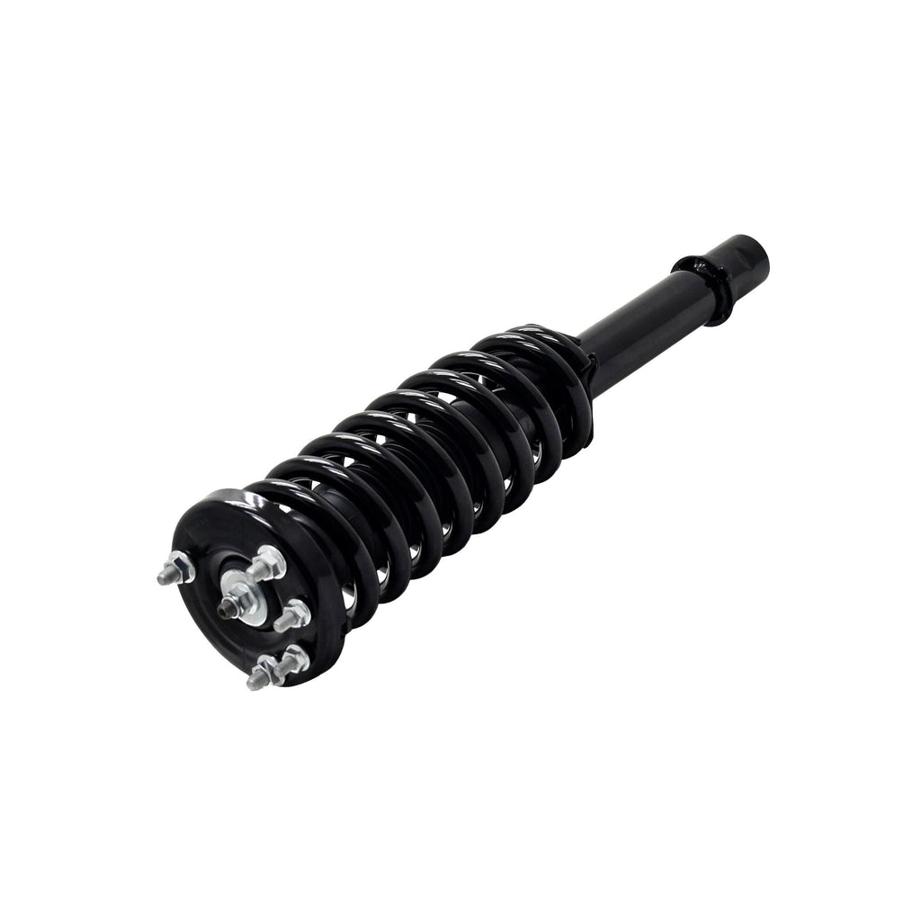 Loaded Strut LS33-81541R