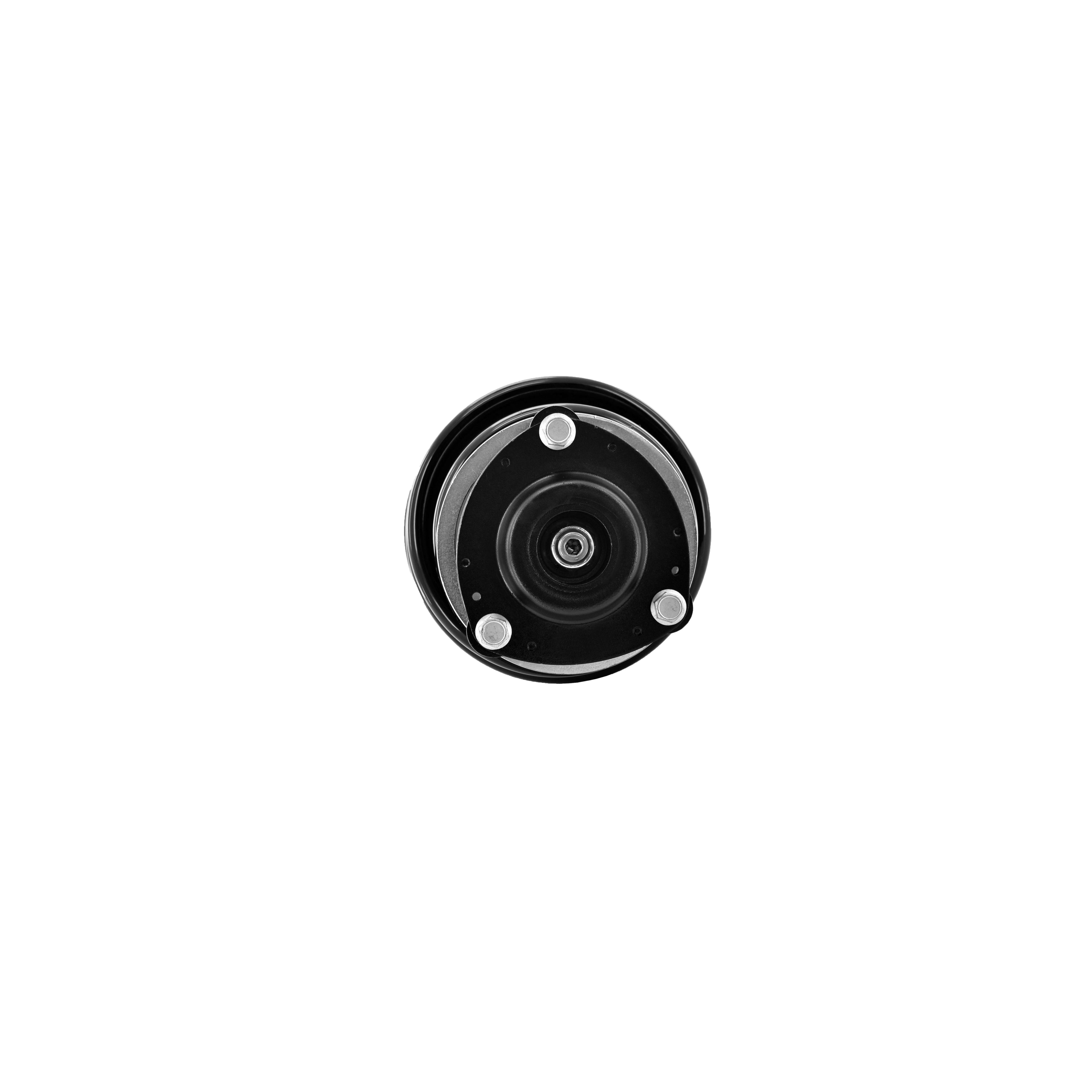 Loaded Strut LS33-81551B