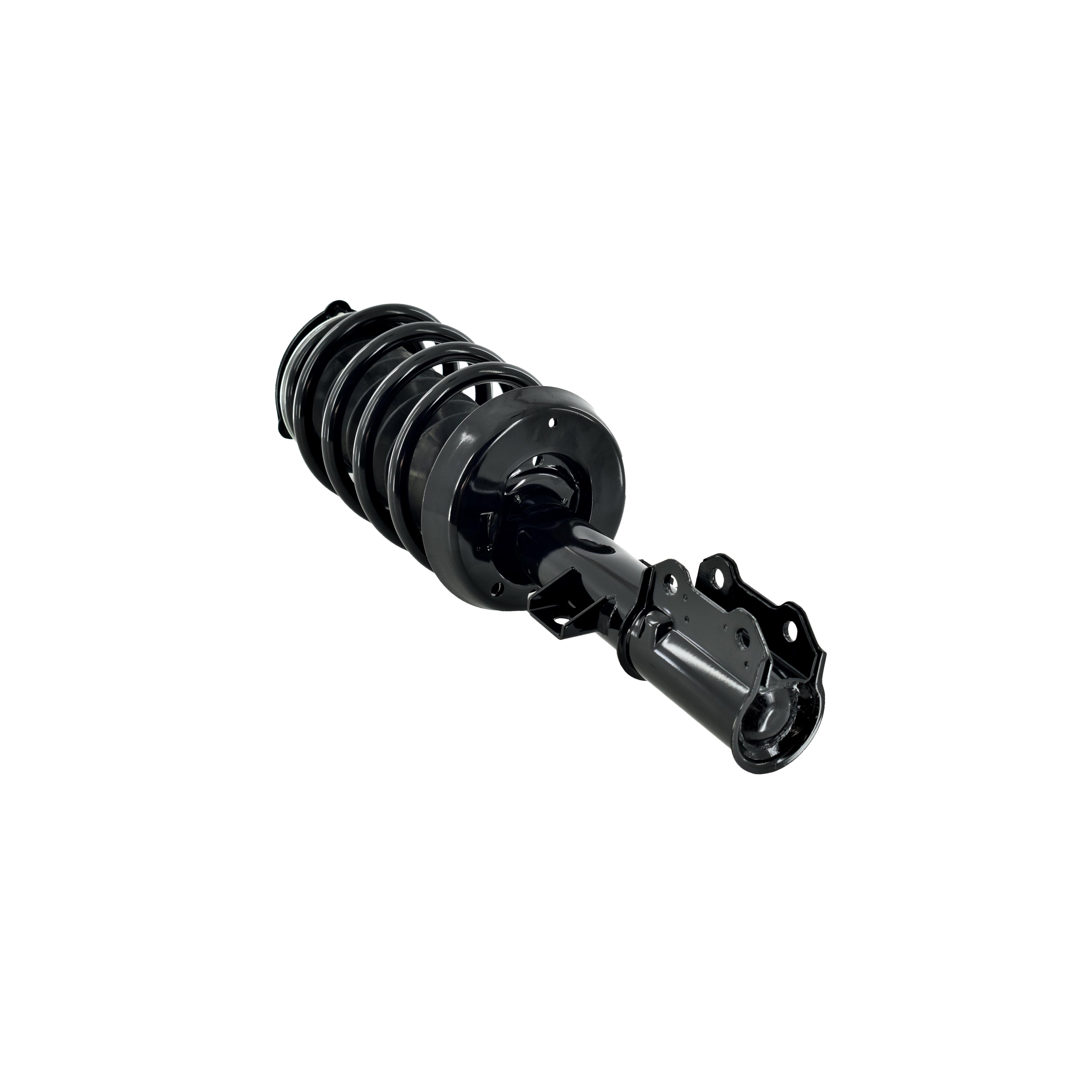 Loaded Strut LS33-81551B