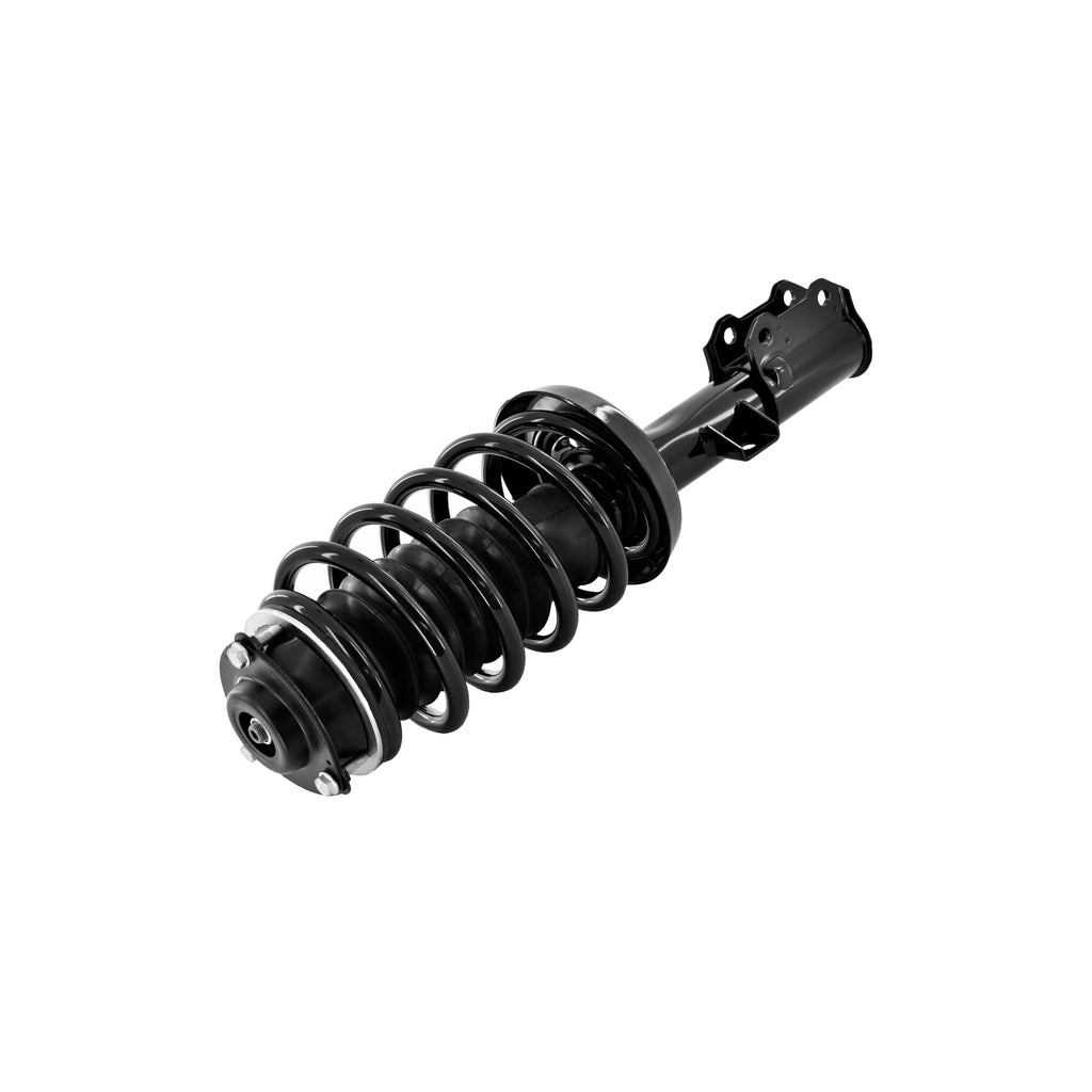 Loaded Strut LS33-81551B