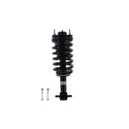 Suspension Strut and Coil Spring Assembly LS33-81591B