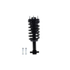 Suspension Strut and Coil Spring Assembly LS33-81591B