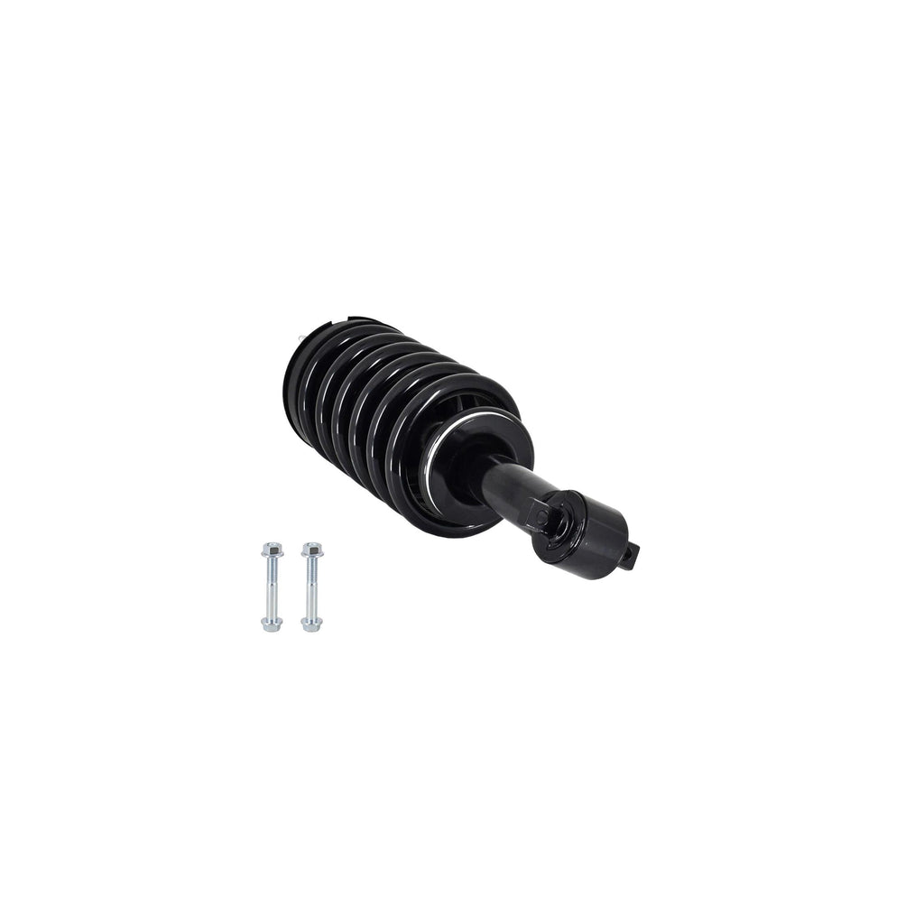 Suspension Strut and Coil Spring Assembly LS33-81591B