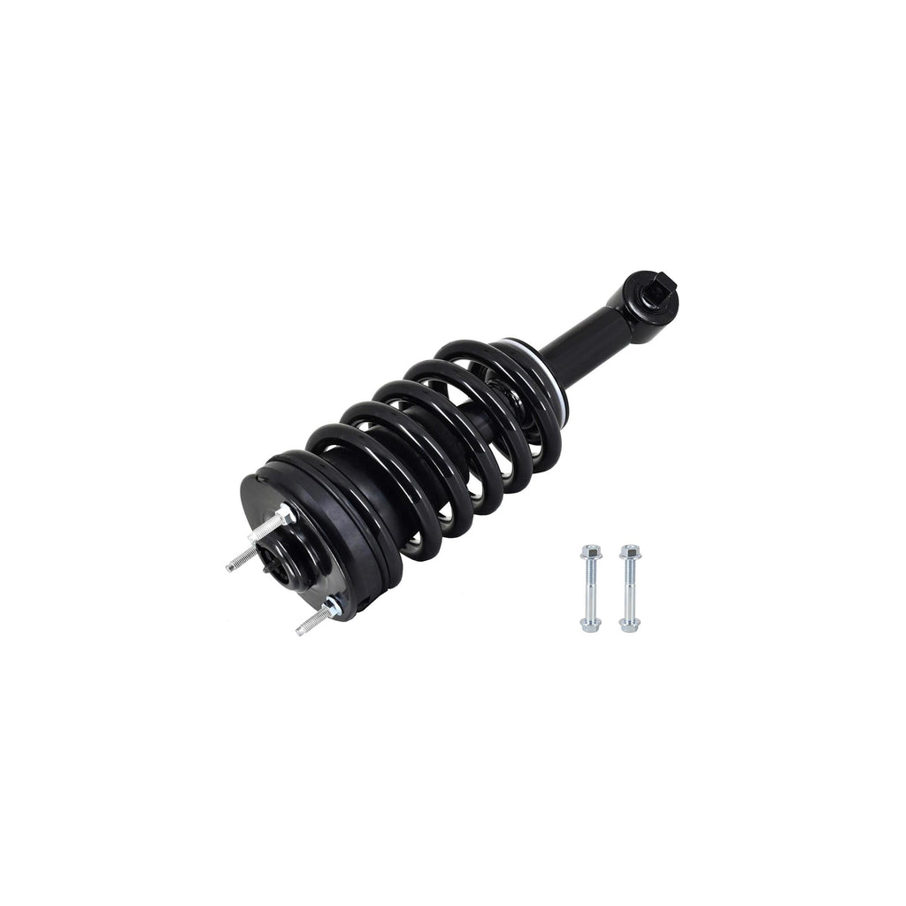 Suspension Strut and Coil Spring Assembly LS33-81591B
